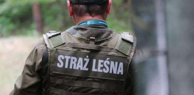 (Fot. Lasy Państwowe)