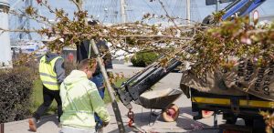 (fot. gdynia.pl/Magda Śliżewska)