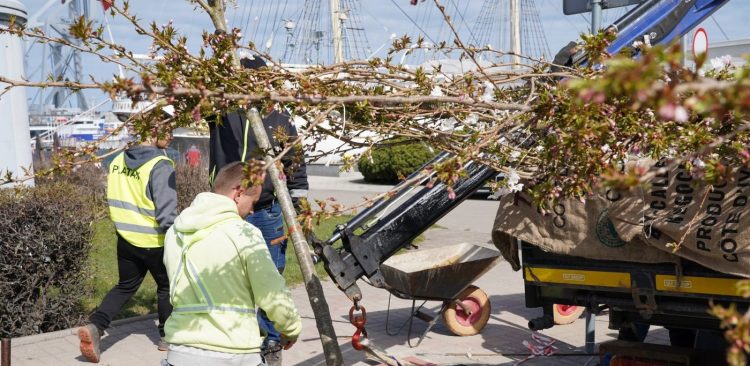 (fot. gdynia.pl/Magda Śliżewska)
