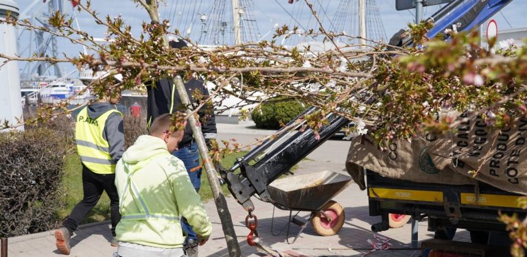 (fot. gdynia.pl/Magda Śliżewska)