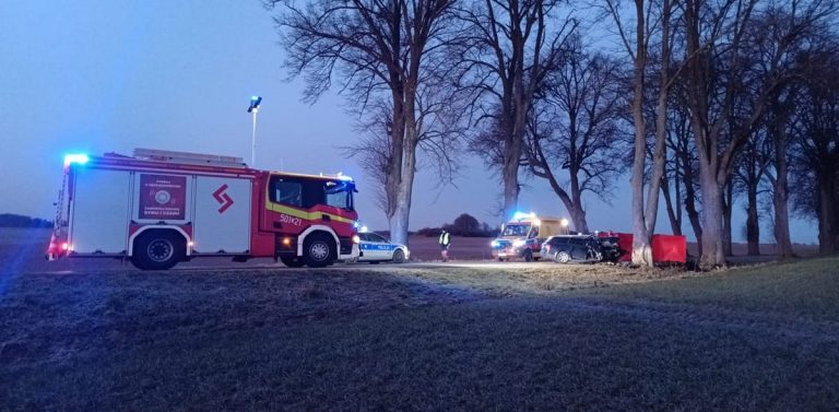 (fot. Straż Pożarna)