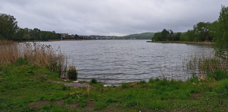 (Fot. Radio Gdańsk/Sebastian Kwiatkowski)