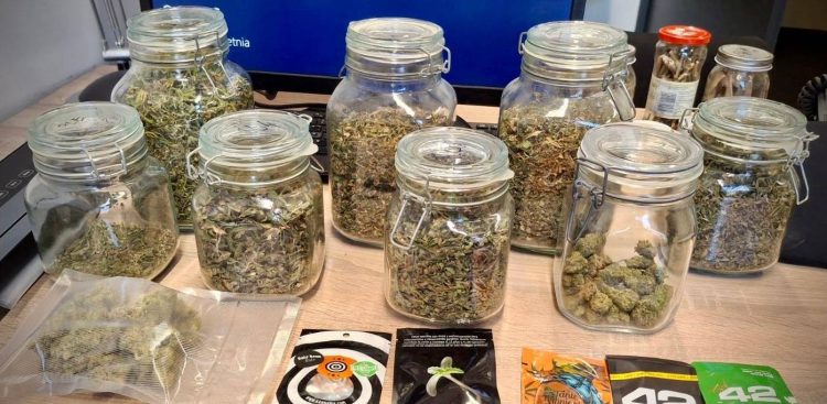 Marihuana znaleziona w mieszkaniu Gdańszczanina (fot. KMP w Gdańsku)