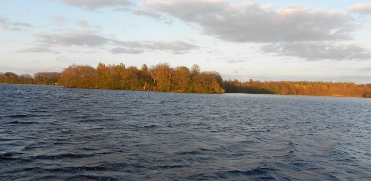 Jezioro Salińskie (fot. Wikimedia Commons/Sławek Zawadzki)