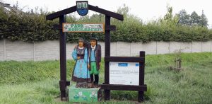 Jednym z najbardziej reprezentacyjnych miejsc Czerska jest Park Borowiacki (fot. Radio Gdańsk/Maria Sowisło)