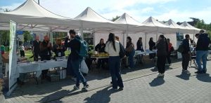 Piknik WSB Merito (fot. Radio Gdańsk//Mateusz Czerwiński)