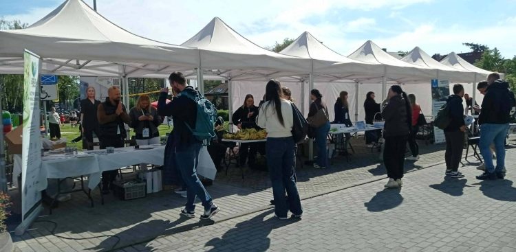 Piknik WSB Merito (fot. Radio Gdańsk//Mateusz Czerwiński)