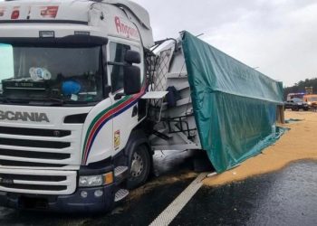 Przewrócona naczepa ze zbożem na A1 (fot. OSP Złotoria)