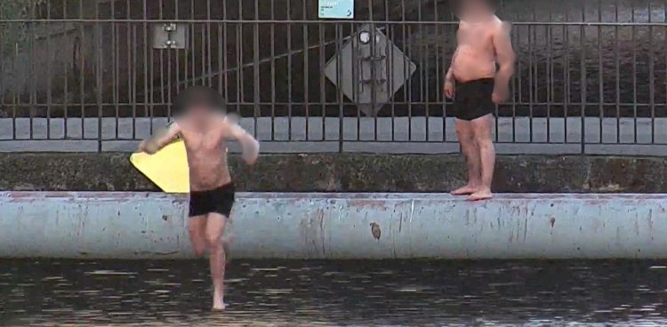 (fot. Straż Miejska w Gdańsku)