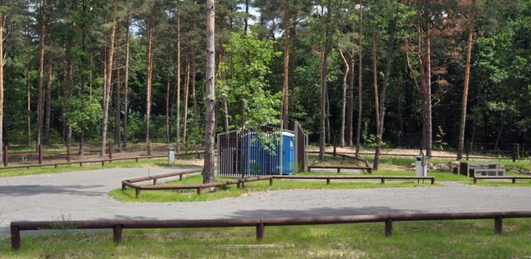 (fot. Nadleśnictwo Elbląg)