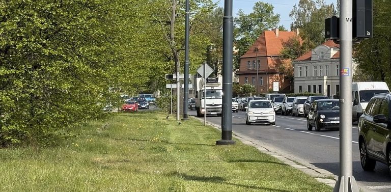 (Fot. Gdański Zarząd Zieleni)