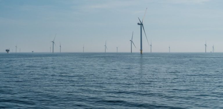 Morska farma wiatrowa Baltic Power. Szerokie ujęcie przedstawiające morską farmę wiatrową na otwartym morzu. Na pierwszym planie widoczna jest ciemnoniebieska, lekko pofalowana powierzchnia wody. W oddali, na linii horyzontu i przed nią, wznosi się kilkanaście białych turbin wiatrowych. Jedna z nich, usytuowana po prawej stronie kadru, znajduje się bliżej i jest wyraźniejsza, podczas gdy pozostałe są rozproszone w tle i maleją wraz z odległością. Nad horyzontem rozciąga się jasnobłękitne, lekko zamglone niebo. Po lewej stronie, na samym skraju kadru w oddali, majaczy zarys małej platformy morskiej