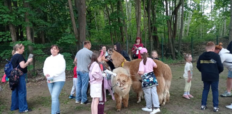 Na uczestników Festynu Rodzinnego czekały liczne atrakcje (Fot. Radio Gdańsk/Mateusz Czerwiński)