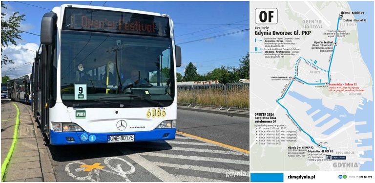 Grafika dwudzielna. Po lewej stronie: biało-niebieski, przegubowy autobus miejski marki Mercedes-Benz Citaro (nr boczny 6086) stojący na przystanku w Gdyni z pomarańczowym napisem „Open'er Festival” na wyświetlaczu kierunkowym. Po prawej stronie: niebiesko-biały schemat ZKM Gdynia przedstawiający przebieg tras oraz rozkład jazdy bezpłatnej linii autobusowej OF, kursującej w dniach 30 czerwca – 5 lipca 2026 r. z Gdyni Głównej na teren Open'er Festival
