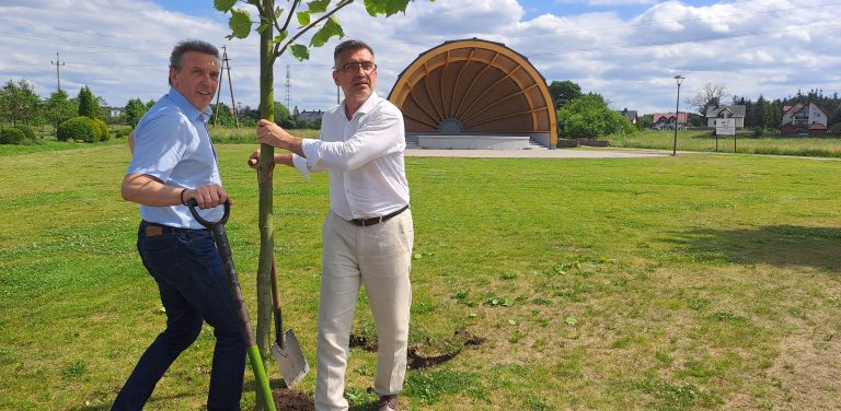 Starosta chojnicki Marek Szczepański i burmistrz Czerska Daniel Szpręga sadzą młody platan w Parku Borowiackim. W tle widoczna jest charakterystyczna, drewniana muszla koncertowa.