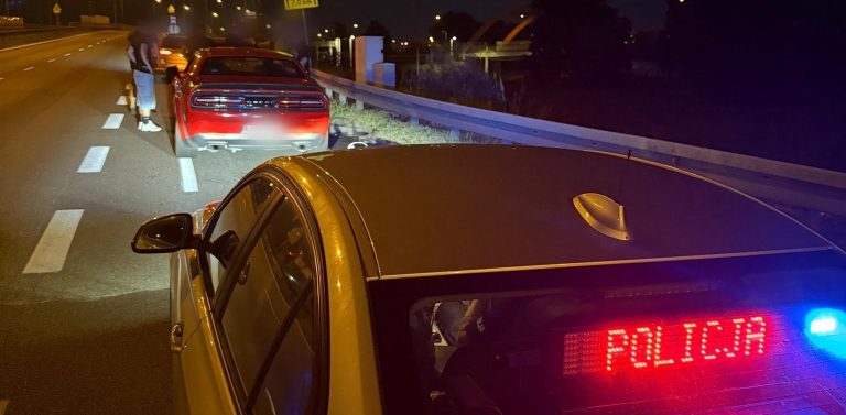 Pomorscy policjanci podczas nocnej akcji w Trójmieście. Blisko 300 kontrol zakończyło się wystawieniem niemal 50 mandatów - i nie tylko