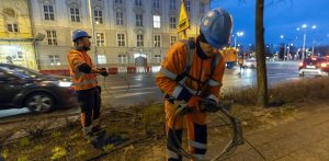 Dwaj robotnicy w pomarańczowych strojach odblaskowych i niebieskich kaskach pracują o zmierzchu na pasie zieleni przy ulicy 3 Maja w Gdańsku. Mężczyzna na pierwszym planie zwija grubą stalową linę, a drugi robotnik w tle trzyma przewód. W tle widoczna jest jezdnia z jadącymi samochodami, klasyczny gmach budynku oraz żółty znak ostrzegawczy z tramwajem. Zdjęcie ilustruje utrudnienia dla pasażerów z powodu remontu Węzła Hucisko - zmiany rozkłady jazdy tramwajów i autobusów w Gdańsku od soboty, 27 czerwca