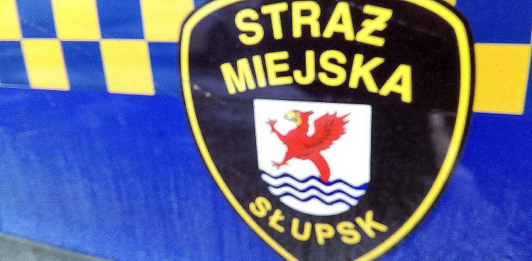 Radiowóz Straży Miejskiej w Słupsku