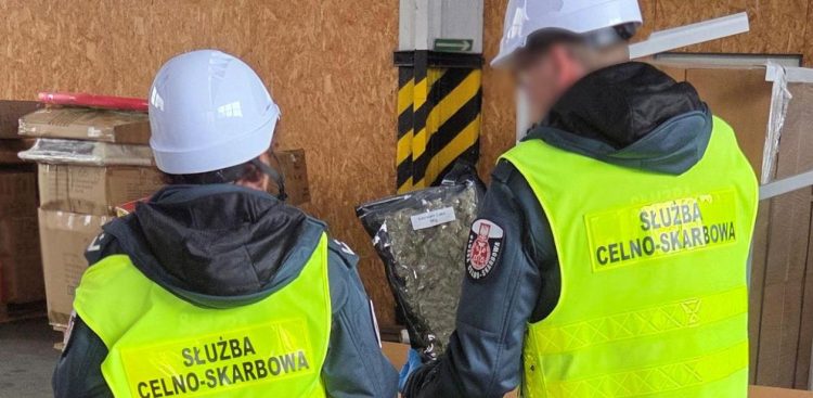 Funkcjonariusze Pomorskiego Urzędu Celno-Skarbowego w Gdyni zatrzymali prawie tonę marihuany (fot. gov.pl)