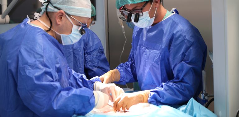 Przeszczep wątroby w Uniwersyteckim Centrum Klinicznym w Gdańsku. Dwóch chirurgów w niebieskich fartuchach operacyjnych, maseczkach ochronnych i okularach ze specjalistycznymi lupami powiększającymi pochyla się nad polem operacyjnym. Widoczne są ich dłonie w sterylnych rękawiczkach wykonujące precyzyjne procedury medyczne na stole operacyjnym pokrytym niebieskimi jałowymi serweta