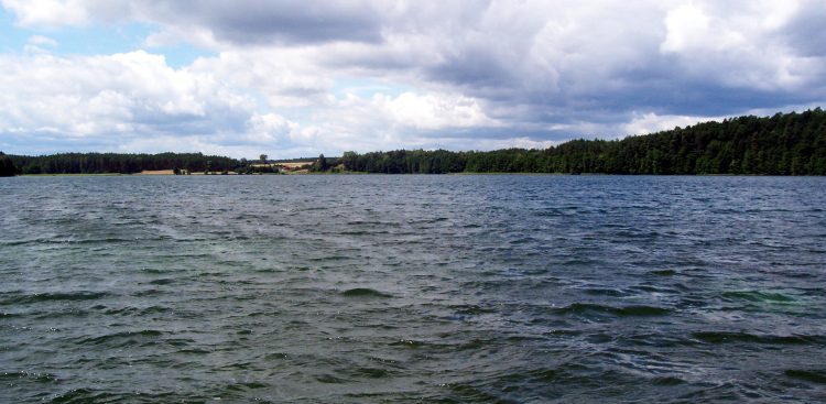 Jezioro Niedackie (fot. Wikimedia Commons/Pomuchelskopp)
