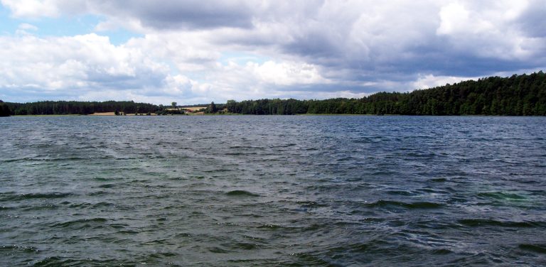 Jezioro Niedackie (fot. Wikimedia Commons/Pomuchelskopp)