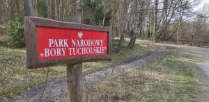 Park Narodowy Bory Tucholskie