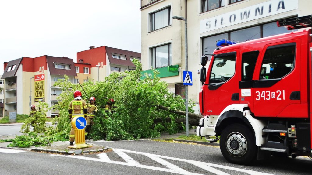 powalone drzewa Ustka