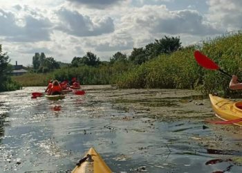 Grupa osób płynie kajakami po spokojnej rzece w otoczeniu zielonej roślinności. Na pierwszym planie po prawej stronie widoczny jest tył żółto-pomarańczowego kajaka z osobą w pomarańczowej kamizelce ratunkowej, która trzyma wiosło z czerwonymi piórami. W oddali, wzdłuż porośniętego trzcinami brzegu, płynie rzędem kilka innych kajaków z uczestnikami. Na powierzchni wody unosi się lekka roślinność wodna, a na niebie widać rozproszone chmury