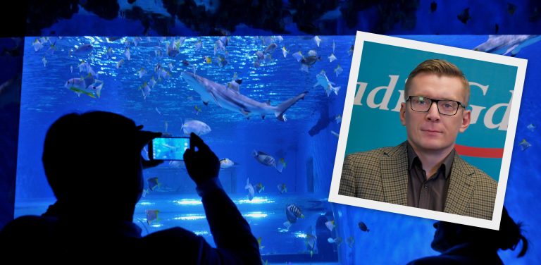Kolaż przedstawiający podświetlone akwarium z rekinem i ławicą ryb w aquaparku w Redzie, przed którym stoi osoba robiąca zdjęcie smartfonem. W prawym górnym rogu nałożono w ramce zdjęcie portretowe mężczyzny w okularach i marynarce na tle logo Radio Gdańsk - to burmistrz Redy Mateusz Richert. Władze Redy zawieszają współpracę z tamtejszym Aquaparkiem