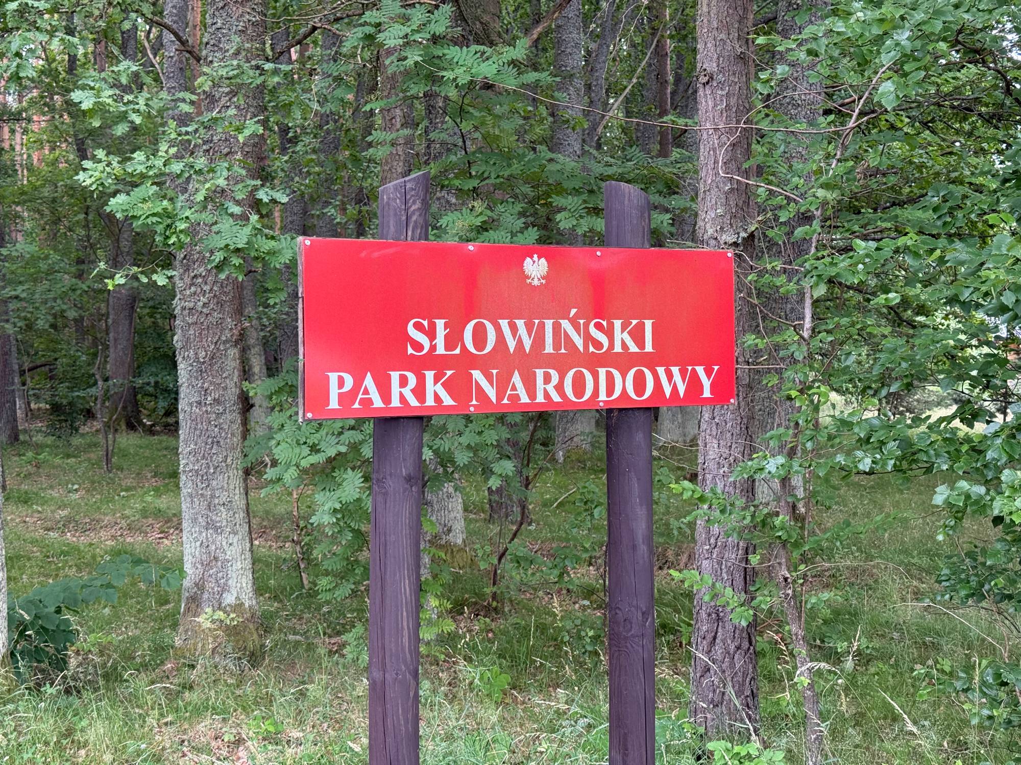 Czerwona, prostokątna tablica z białym godłem Polski oraz napisem „SŁOWIŃSKI PARK NARODOWY” w kolorze białym, zamontowana na dwóch ciemnobrązowych słupkach na tle zielonego, gęstego lasu