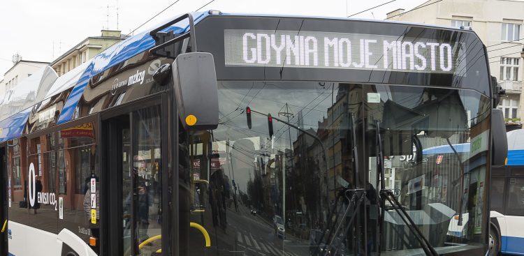 Niebiesko-biały autobus komunikacji miejskiej w Gdyni (ZKM Gdynia) jedzie miejską ulicą. W tle widoczne są drzewa, chodnik oraz fragmenty budynków mieszkalnych