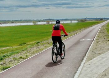 EuroVelo - fragment Wiślanej Trasy Rowerowej