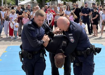 Piknik był dla policji okazją do pokazu wyszkolenia funkcjonariuszy i psów służbowych