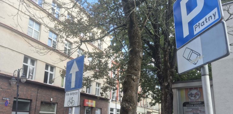 Słupsk ma czas do końca września, by prawidłowo wyznaczyć miejsca parkingowe