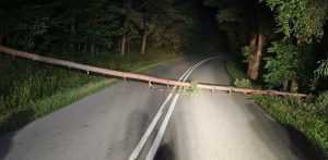 Podcięte drzewo leżało w poprzek drogi