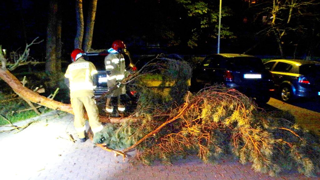 W niektórych miejscach wiatr połamał drzewa, które uszkodziły samochody
