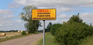 Żółta tablica ostrzegawcza z czarnym napisem "UWAGA! AFRYKAŃSKI POMÓR ŚWIŃ OBSZAR ZAGROŻONY" ustawiona przy asfaltowej drodze w otoczeniu polnych, wiejskich krajobrazów
