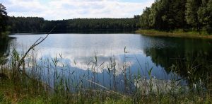 Zaborski Park Krajobrazowy, nz. Jezioro Nawionek