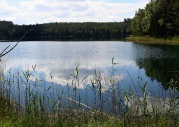 Zaborski Park Krajobrazowy, nz. Jezioro Nawionek
