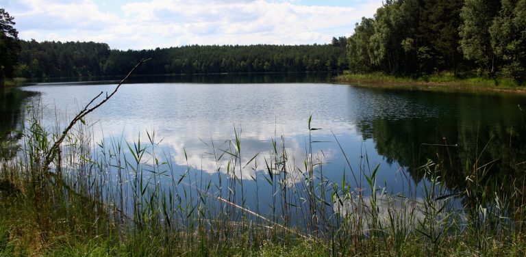 Zaborski Park Krajobrazowy, nz. Jezioro Nawionek