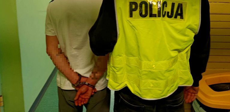 Policjanci zatrzymali sprawcę pobicia 29-letniego mężczyzny na dworcu kolejowym w Ustce (fot. KMP Słupsk)