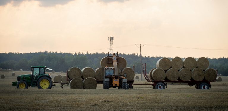 Na zdjęciu traktor na polu, razem z przyczepami i snopami siana.