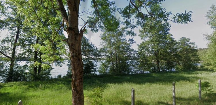 Widok na Jezioro Somińskie, na pierwszym planie trawy i drzewa