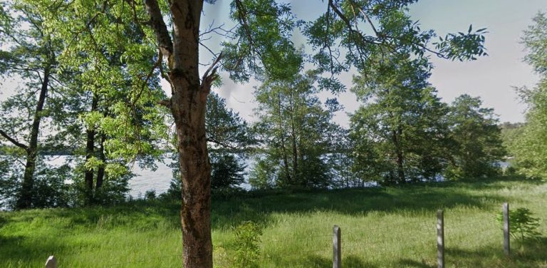 Widok na Jezioro Somińskie, na pierwszym planie trawy i drzewa
