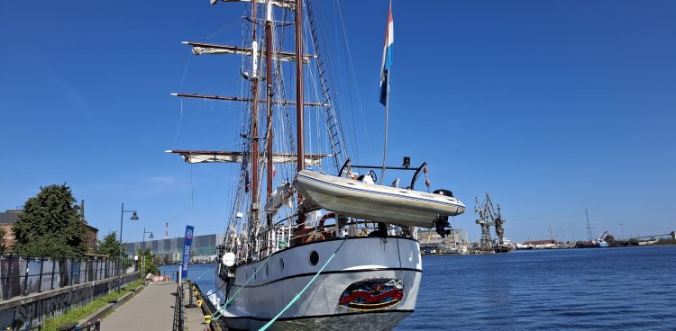 Żaglowce na Baltic Sail w Gdańsku