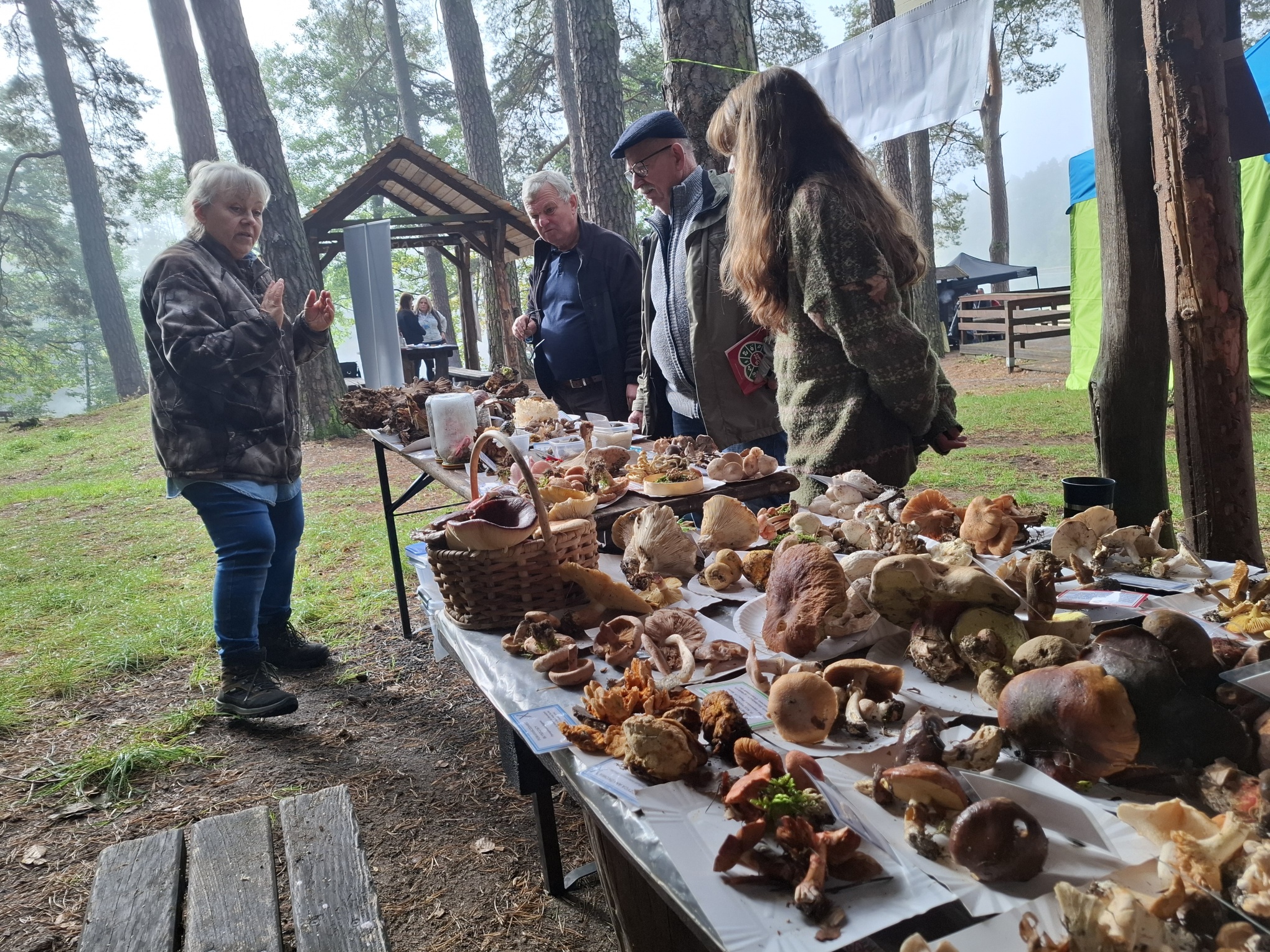 Mistrzostwa w grzybobraniu