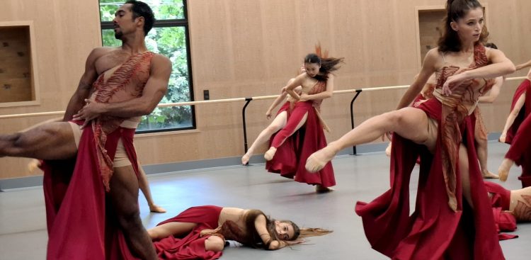 Open Ballet Studio, nowy projekt Opery Bałtyckiej w Gdańsku