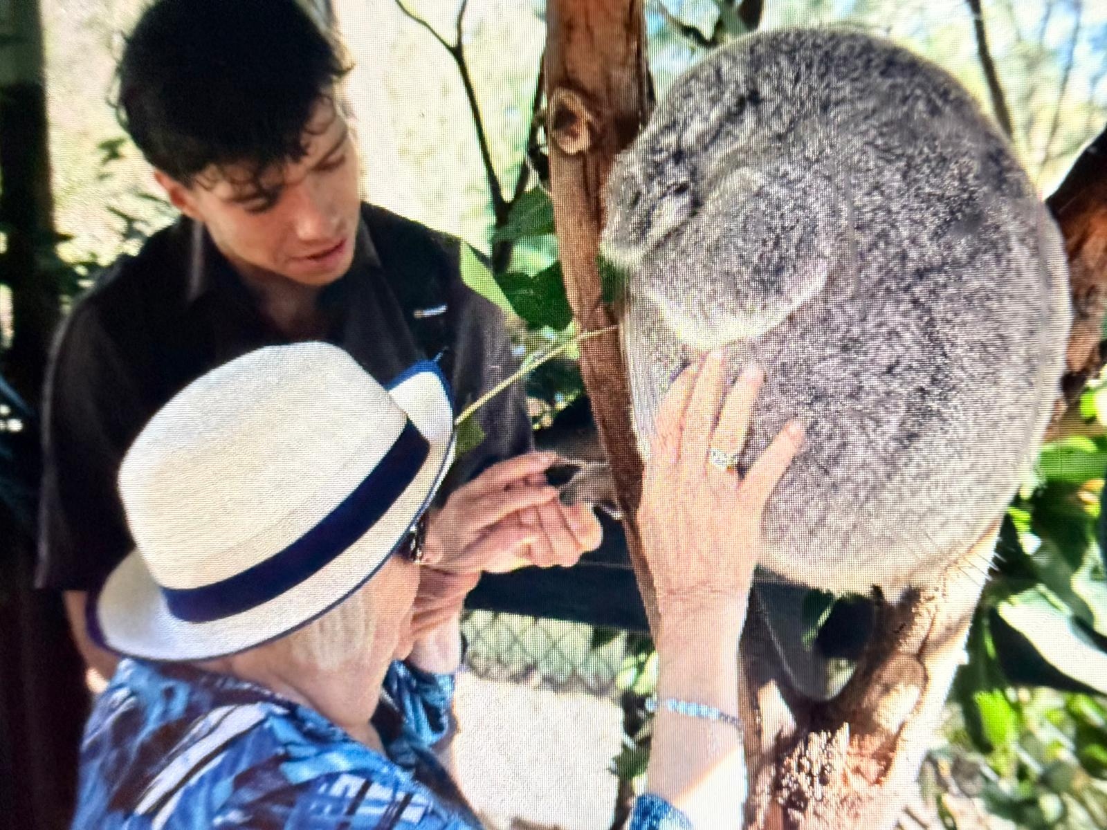 Helena Urbaniak i koala