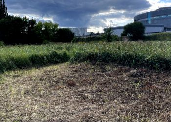 Zdaniem mieszkańców Runmageddon doprowadził do zniszczeń roślinności